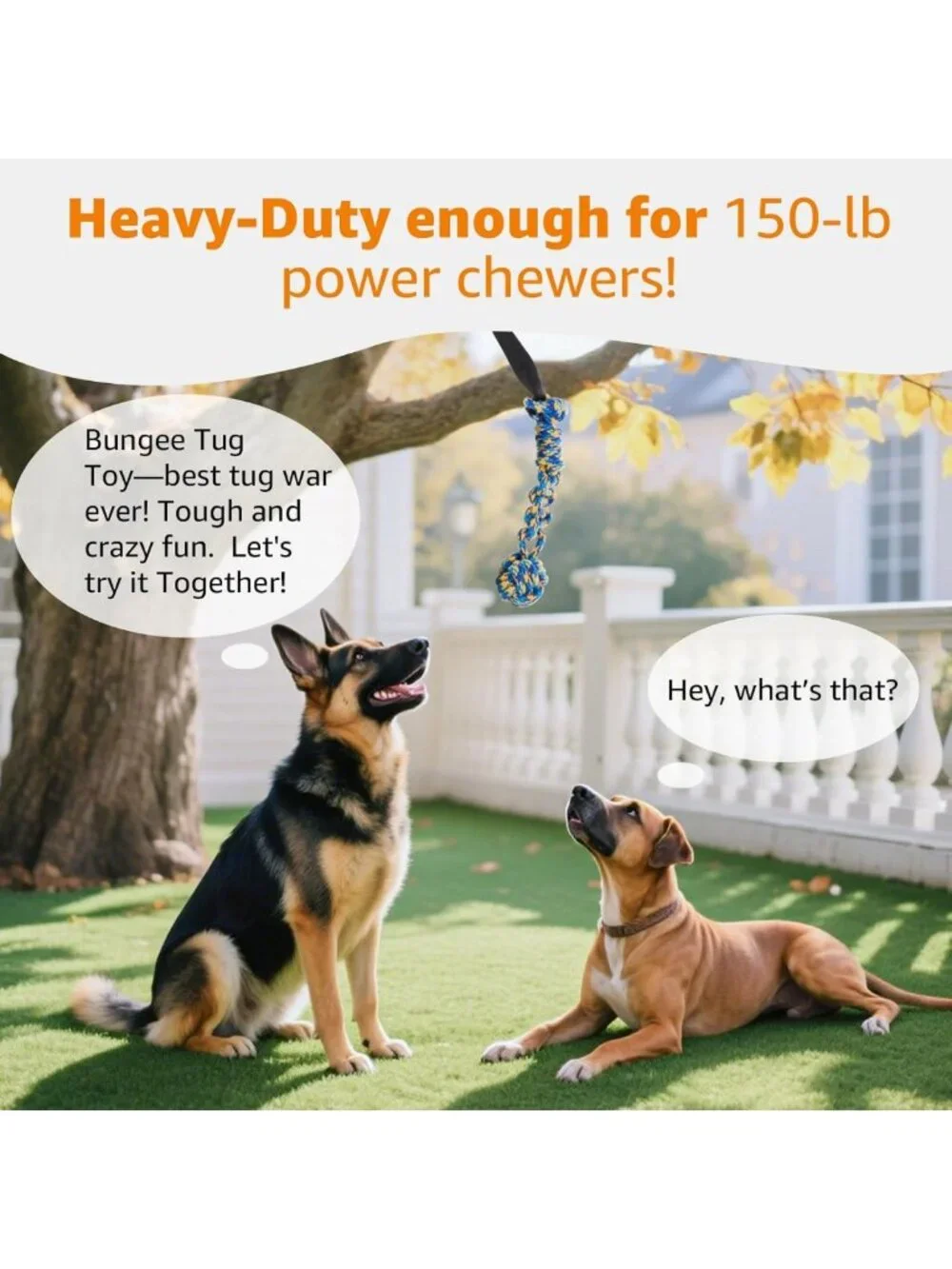 Durable Outdoor Bungee Tug Toy for Dogs | Interactive Chew Rope & Tether